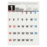 高橋書店 【2025年版】エコカレンダー壁掛 A4 E65 1セット(1冊×2)（直送品）