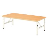 ニシキ工業 教育施設テーブル 幅1200×奥行600×高さ450mm AESB-1260L