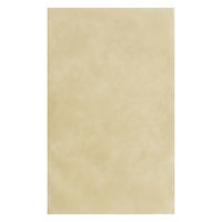 G[ sDz LS0106NI00\tgBx[VbNS6BE 4938303106418 1Zbg(600)iij