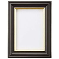 富士フイルム フジカラー 肖像額縁 1/2Lサイズ FREAM1/2L 505270 1枚 537-8542（直送品）