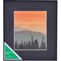 富士フイルム フジカラー アルミ額縁 A300 4切 4 1枚 563-0254（直送品）