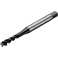 サンドビック SANDVIK コロタップ300 スパイラルタップ(780) P1PM T300-PM104AF-10-32 1本（直送品）