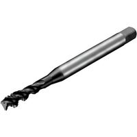 サンドビック SANDVIK コロタップ300 スパイラルタップ(780) P1PM T300-PM114AF-5/16 1本（直送品）
