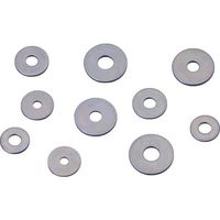 カメダデンキ カメダ 平ワッシャー Wー24ー3C (100個入り) 1袋(100個) 808-5112（直送品）