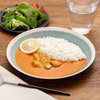 エレキソルト スプーンとバターチキンカレーセット キリン エレキソルト スプーン & 休塩日のバターチキンカレー