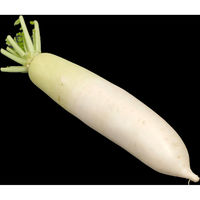 たくあん大根 野菜 10キロ たくあん大根 10キロ 野菜 - 野菜新 デザイン