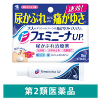 フェミニーナUP a 15g 小林製薬 尿かぶれ【第2類医薬品】