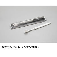 ダイト ホテルアメニティ ハブラシセット(シオン28穴) 3g刻印 ブラック エラートシリーズ 00475463 1ケース(250点×8))（直送品）
