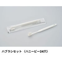 ダイト ホテルアメニティ ハブラシ(ハニービー24穴) 3g刻印 ホワイト アクシスシリーズ 00475610 1ケース(250点×8))（直送品）