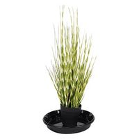 大一産業 防虫 フライヘル 00691034 1ケース(1点×3))（直送品）