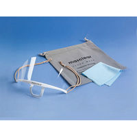 大一産業 プラスチックマスク マスクリア エコノ10個入り 00691036 1パック(1点)（直送品）