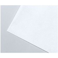 アーテック 【介護/医療】清拭 使い捨てベッドシーツコンパクト60×100cm 30枚入 051193 1ケース(1点×10))（直送品）