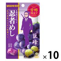 忍者めし 巨峰 1セット（1袋×10） UHA味覚糖 グミ