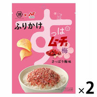 ニチフリ食品 すっぱムーチョふりかけ さっぱり梅味 20g 1セット（1個×2）