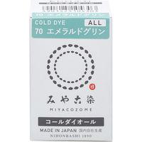 桂屋ファイングッズ みやこ染 低温染色 コールダイオール ECO Col.70 エメラルドグリン ECOA-70 1個