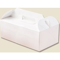 シモジマ エコパームBOX キャリーL 004247823 1束(20枚)