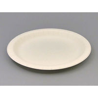 ペーパーウェア 紙皿 ナチュラルパルププレート22cm【weeco】 00413805 1袋(100枚)（直送品）