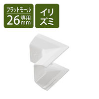 エレコム 配線カバー モール 接続ユニット 入ズミ 壁用 フラットモール ホワイト LD-GAFR3MWH 1個