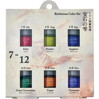 パジコ レジン専用着色剤 宝石の雫バースストーンカラーセット[7-12] 日本製 PDC403377 1セット(1袋×2)