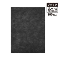 エスパック 不織布インナーバック薄タイプ LL ブラック 100枚入 FIBU-010-AS 1袋(100枚入)（直送品）