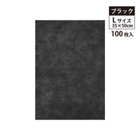 エスパック 不織布インナーバック薄タイプ L ブラック 100枚入 FIBU-006-AS 1袋(100枚入)（直送品）