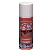 ニッペホームプロダクツ アクリルラッカースプレーTRY