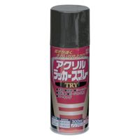 ニッペホームプロダクツ アクリルラッカースプレーTRY 300ml ブラック 222T003-300 1本