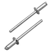 ロブテックス ブラインドリベット(250本入) NS812A 1箱（直送品