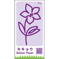 つくし工房 たのし~るUppers ひと筆フラワーズシリーズ キキョウ KS-316-06 1枚（直送品）