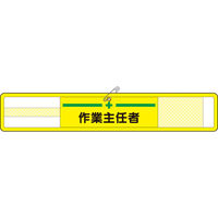 H[ bVr ƎC(}WbNe[vESst) WM-3 1{iij