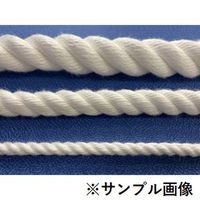 建築現場親綱交換用ニューテトロンロープ 16mmΦX20m NEW-TETORON