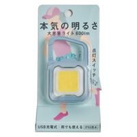 充電式ぴかり MINI LIGHT ダスティブルー 1個 ムサシ 犬用 お散歩