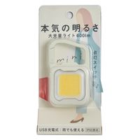 充電式ぴかり MINI LIGHT ムサシ