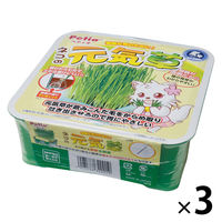 ペティオ ネコの元気草 健康な胃のために 3個