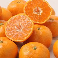 フルーツワールド 2024【御歳暮】のし付き 愛媛みかん[2kg] fw-em2kg 1箱（直送品）