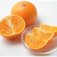 アデリー 2024【御歳暮】のし付き 愛媛県産 紅まどんな BENI-F0 1箱（直送品）