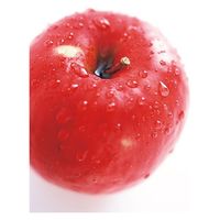 アデリー 2024【御歳暮】のし付き 青森県産 サンふじ林檎 蜜の恵み ASR-E0S 1箱（直送品）