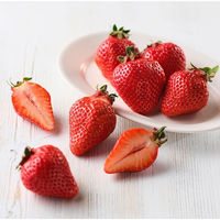 アデリー 2024【御歳暮】のし付き 福岡あまおう AMO-2 1箱（直送品）