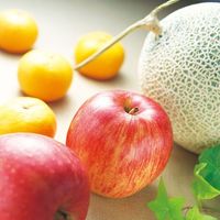 アデリー 2024【御歳暮】のし付き 旬のフルーツギフト AD-SFT50 1箱（直送品）