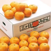 フルーツワールド 2024【御歳暮】のし付き 静岡県産 三ヶ日みかん[4kg] fw-mib4k 1箱（直送品）