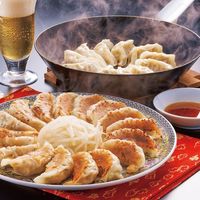 アイエスワイ 2024【御歳暮】のし付き 静岡B級グルメ浜松餃子45粒 HG-3 1箱（直送品）