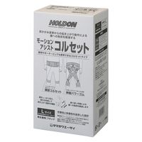 玉川衛材【ホルドン】モーションアシストコルセット (Lサイズ (腰回り) 80 ～ 100 cm/男女兼用/BK) 腰 腰痛 負担軽減 (介護/作業等) 1個