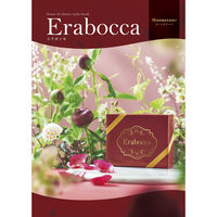 アピデ ムーンストーン 1個（直送品）