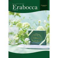 アピデ タークアス 1個（直送品）