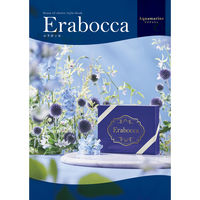 アピデ アクアマリン 1個（直送品）