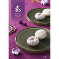 アピデ 早瀬(はやせ) 1個（直送品）