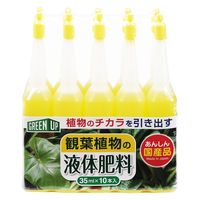 紀陽除虫菊 活力剤(観葉植物用)35ml×10本入 K-2616 1セット(10個)（直送品）