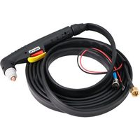 育良精機 育良 IAP151/201兼用トーチ(42164) AP-ETL6M 1個 148-1850（直送品）