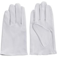 富士グローブ EXー200 白 L 5920 1双 536-4958（直送品）