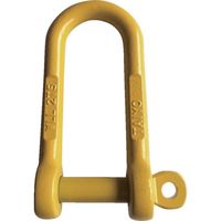 大洋製器工業 TAIYO 強力長シャックル 脱落防止 TSLGー1.25t(1015128) TSLG-1.25 1個 575-1345（直送品）